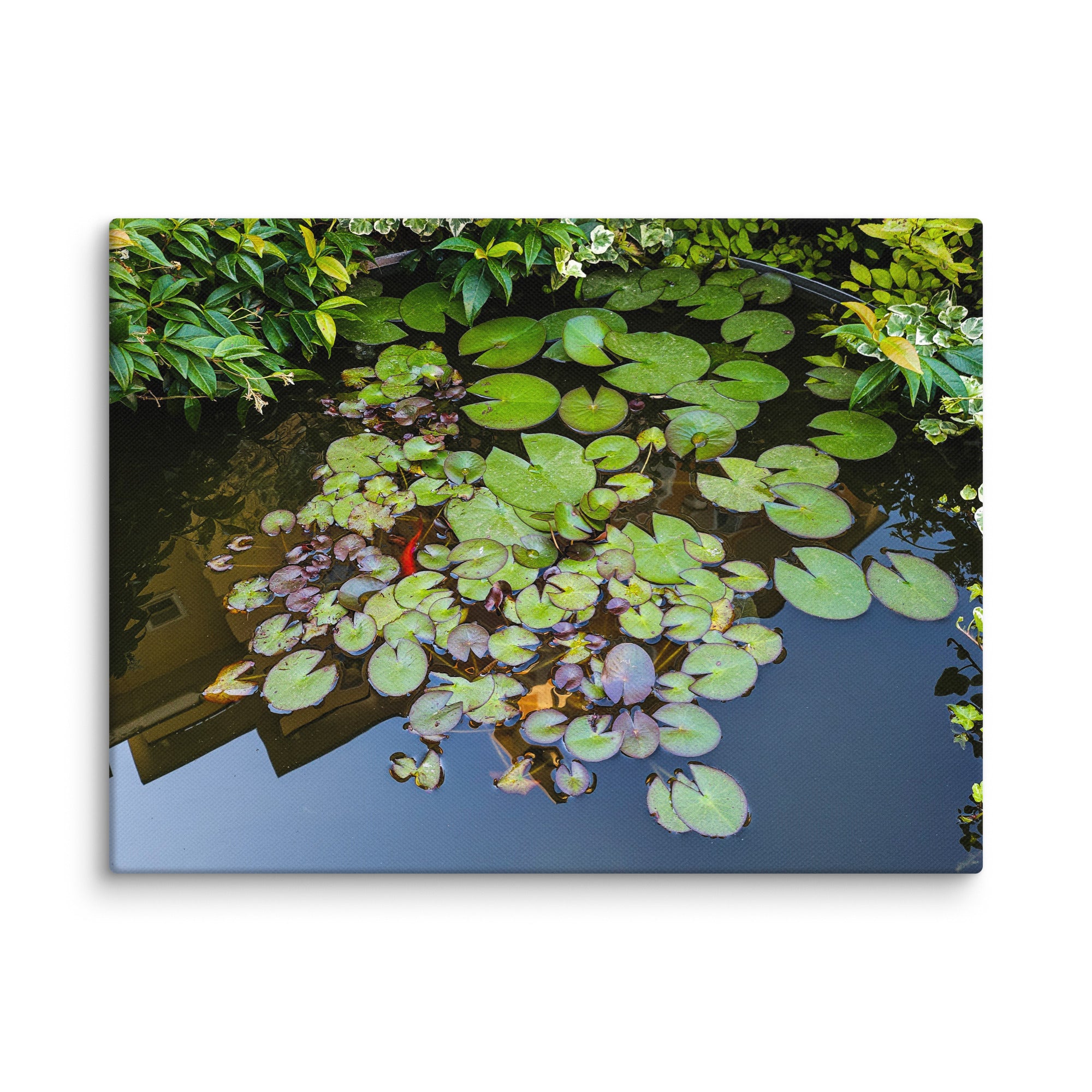 Canvas of a Pond and Lily Pads in Darfo Boario Terme Italy - Rosetta Creative Boutique